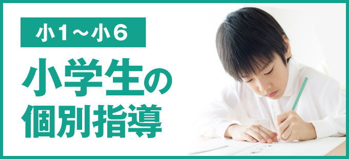 小学生の個別指導